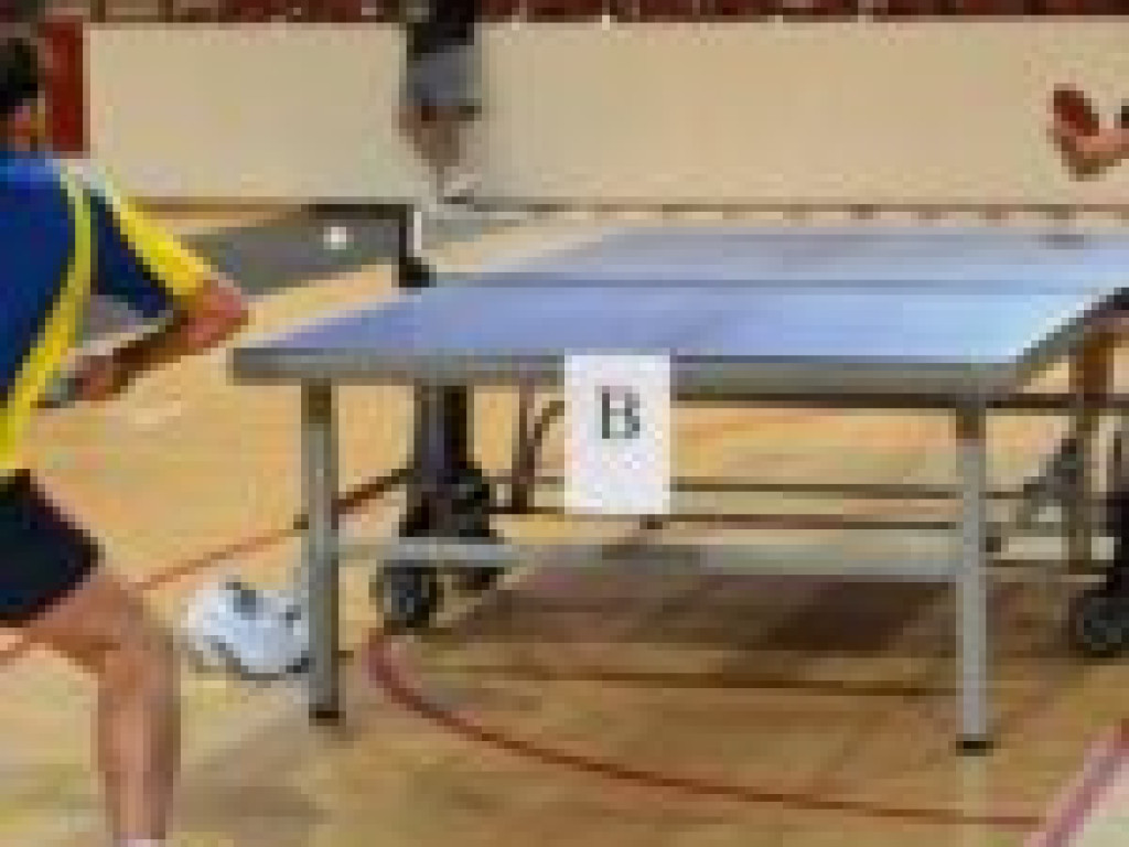 Noworoczny tenis stołowy (zdjęcia)