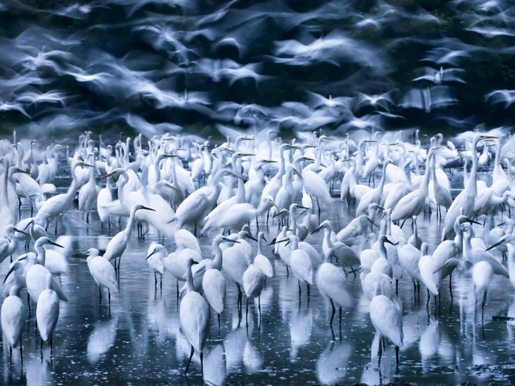Fotografia dzikiej przyrody na Krzemionkach (zdjęcia)