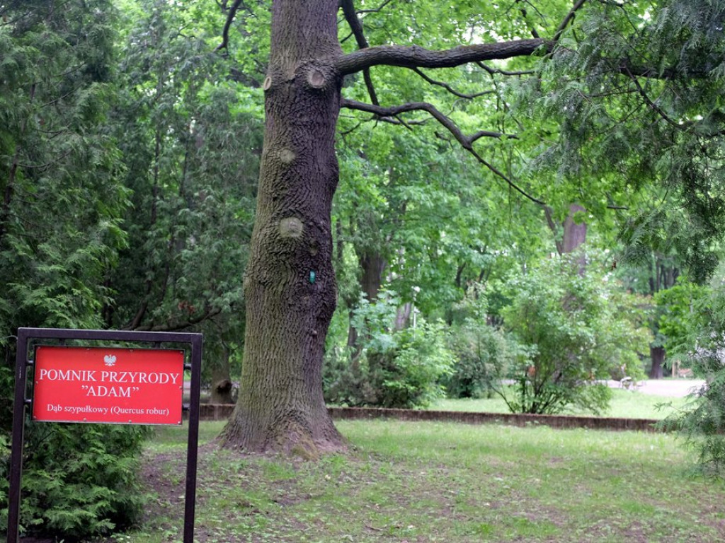 Wspaniały nauczyciel, niezależny poseł, mówca