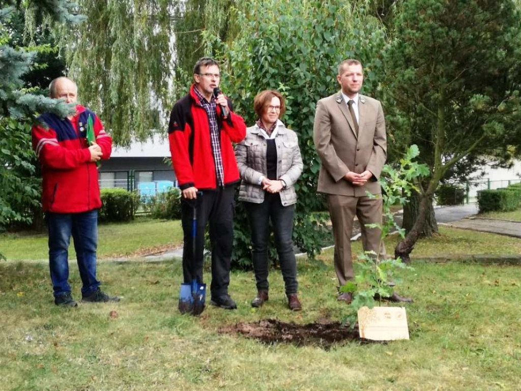 Posadzili drzewa dla przyszłych pokoleń (zdjęcia). Niezwykły jubileusz 70-lecia PTTK