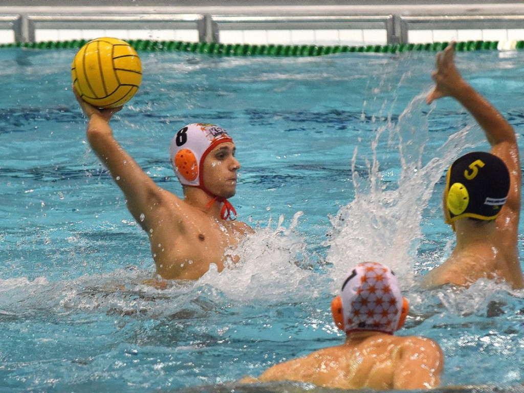 Ekstraklasa piłki wodnej. Grupa A. *KSZO Ostrowiec Świętokrzyski - WTS Polonia Bytom 5:17