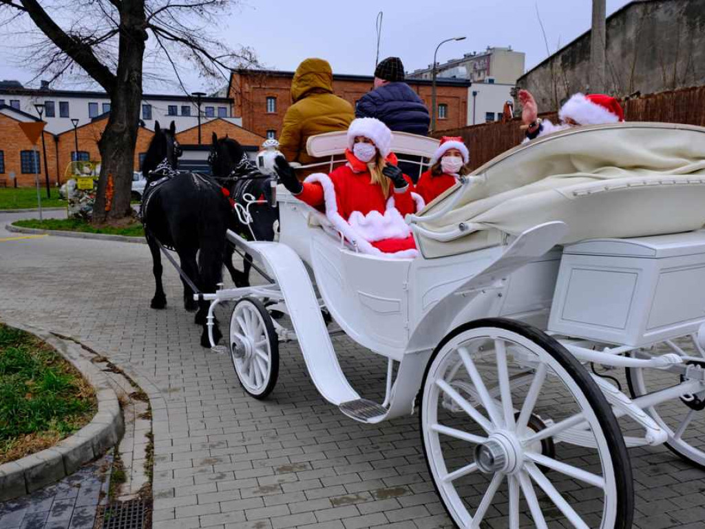 Święty Mikołaj w Ostrowcu Świętokrzyskim (zdjęcia, wideo). Zaprzęg konny z białą karetą