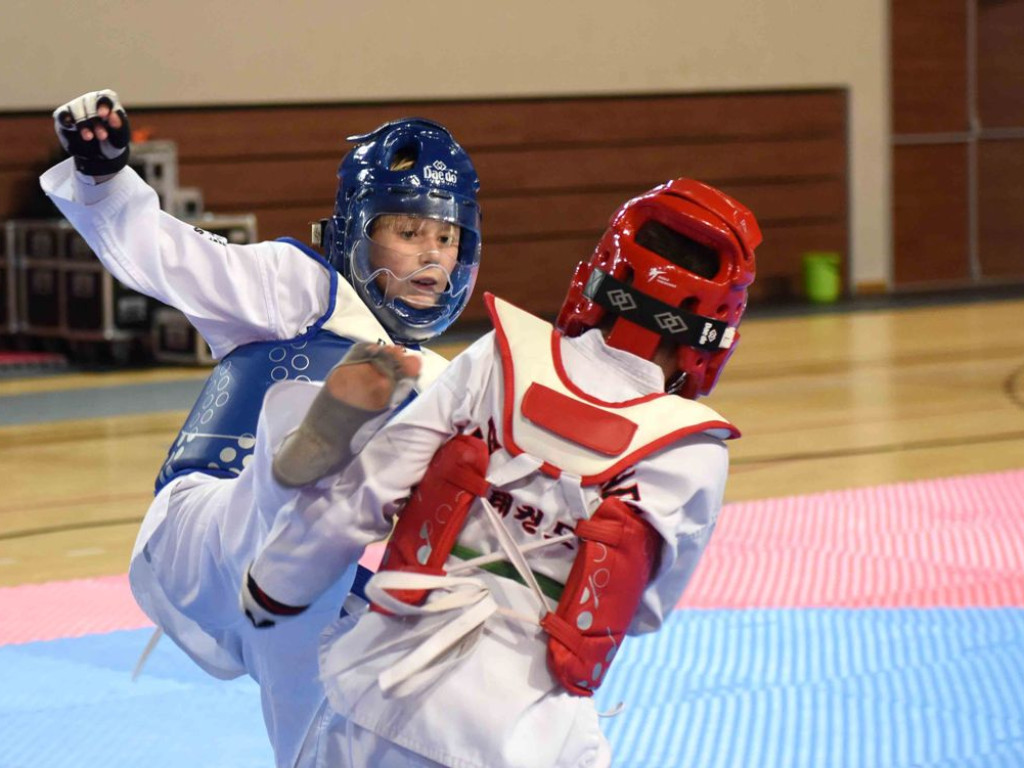 Hala Sportowo-Widowiskowa KSZO. Świętokrzyska Olimpiada Taekwondo