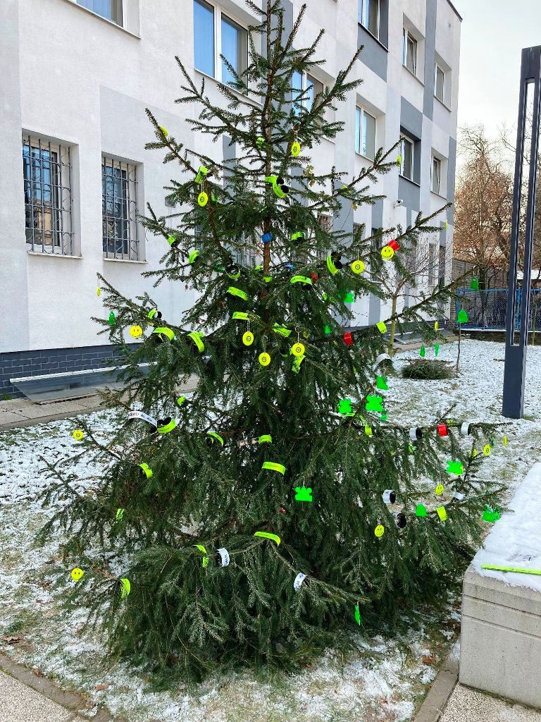 Choinki od leśników na Jasnej Górze, w Łazienkach Królewskich, na rynkach miast (zdjęcia)