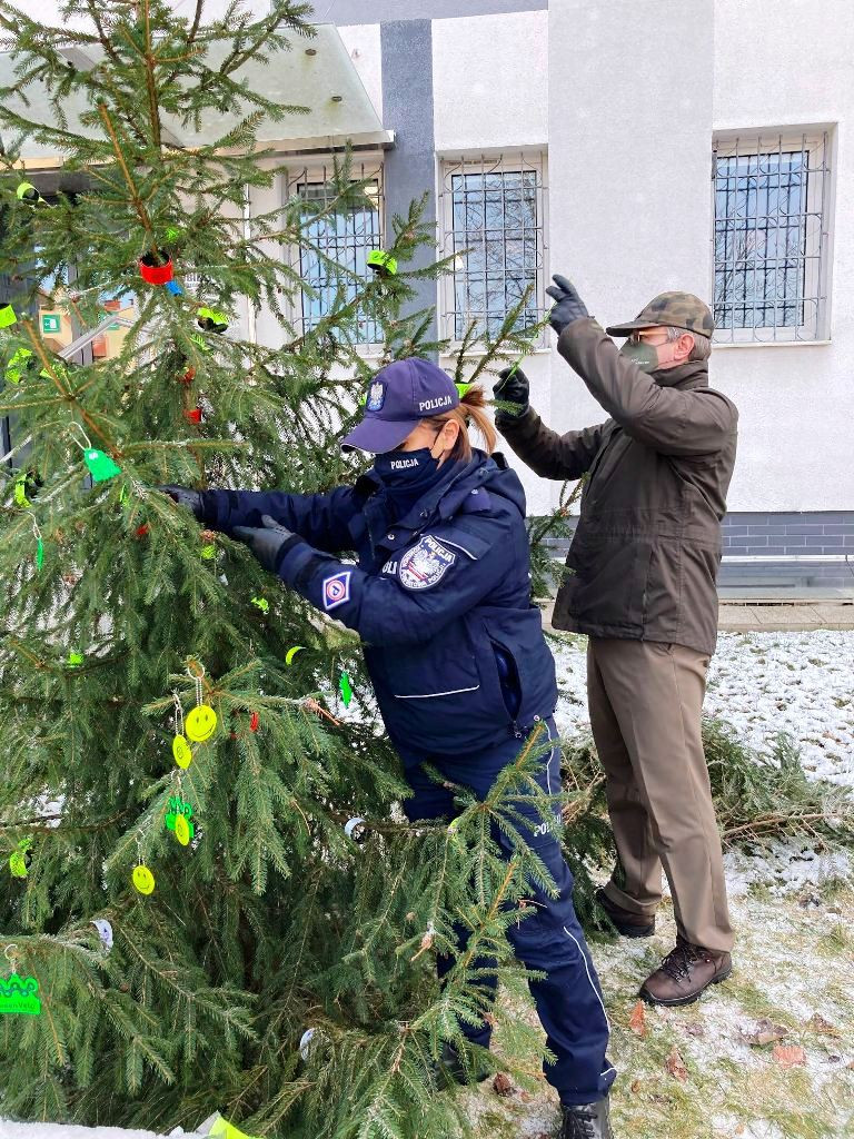Choinki od leśników na Jasnej Górze, w Łazienkach Królewskich, na rynkach miast (zdjęcia)