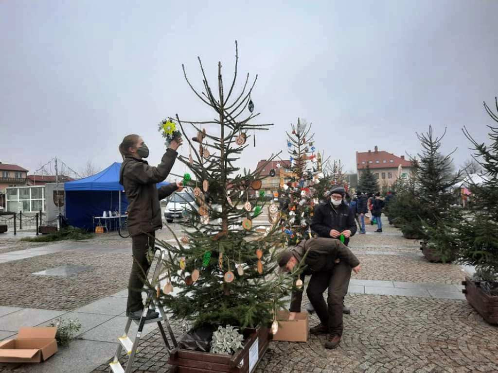 Choinki od leśników na Jasnej Górze, w Łazienkach Królewskich, na rynkach miast (zdjęcia)