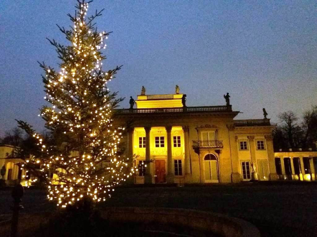 Choinki od leśników na Jasnej Górze, w Łazienkach Królewskich, na rynkach miast (zdjęcia)