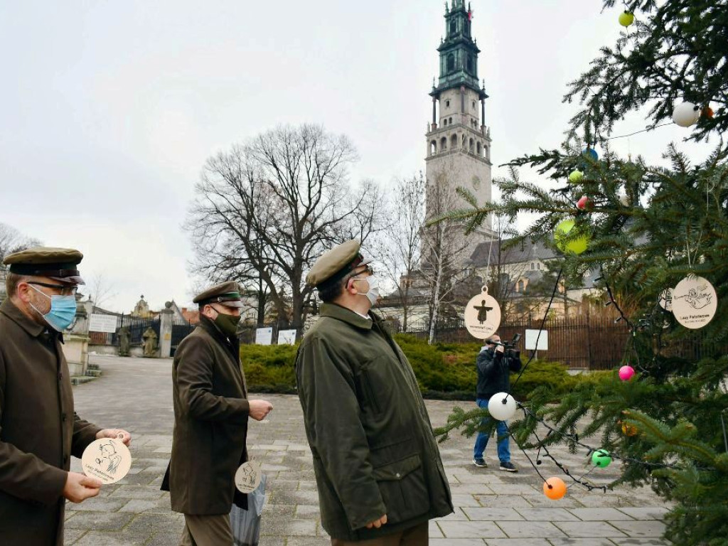 Choinki od leśników na Jasnej Górze, w Łazienkach Królewskich, na rynkach miast (zdjęcia)