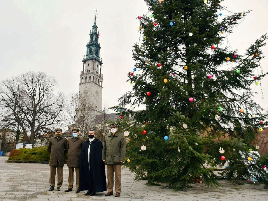 Choinki od leśników na Jasnej Górze, w Łazienkach Królewskich, na rynkach miast (zdjęcia)