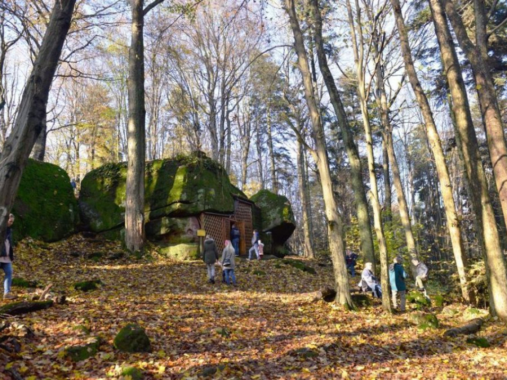 Przewodnik po świętokrzyskich rezerwatach leśnych. Propozycje przyrodniczych wypraw na ferie (zdjęcia)