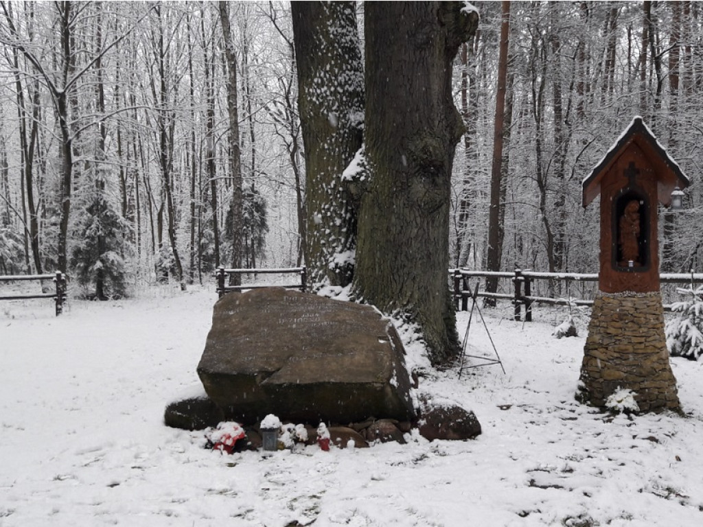 Leśne ślady powstania styczniowego