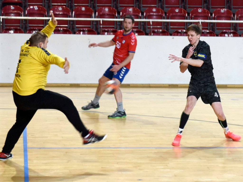 I liga piłki ręcznej mężczyzn. Grupa D. *KSZO Ostrowiec Świętokrzyski - Wisła Sandomierz 31:27