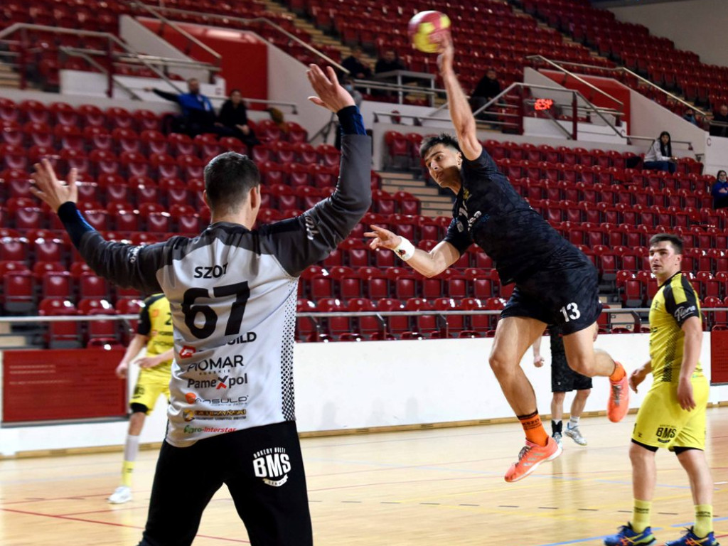 I liga piłki ręcznej. Grupa D. *KSZO Ostrowiec Świętokrzyski - KSSPR Końskie 30:24