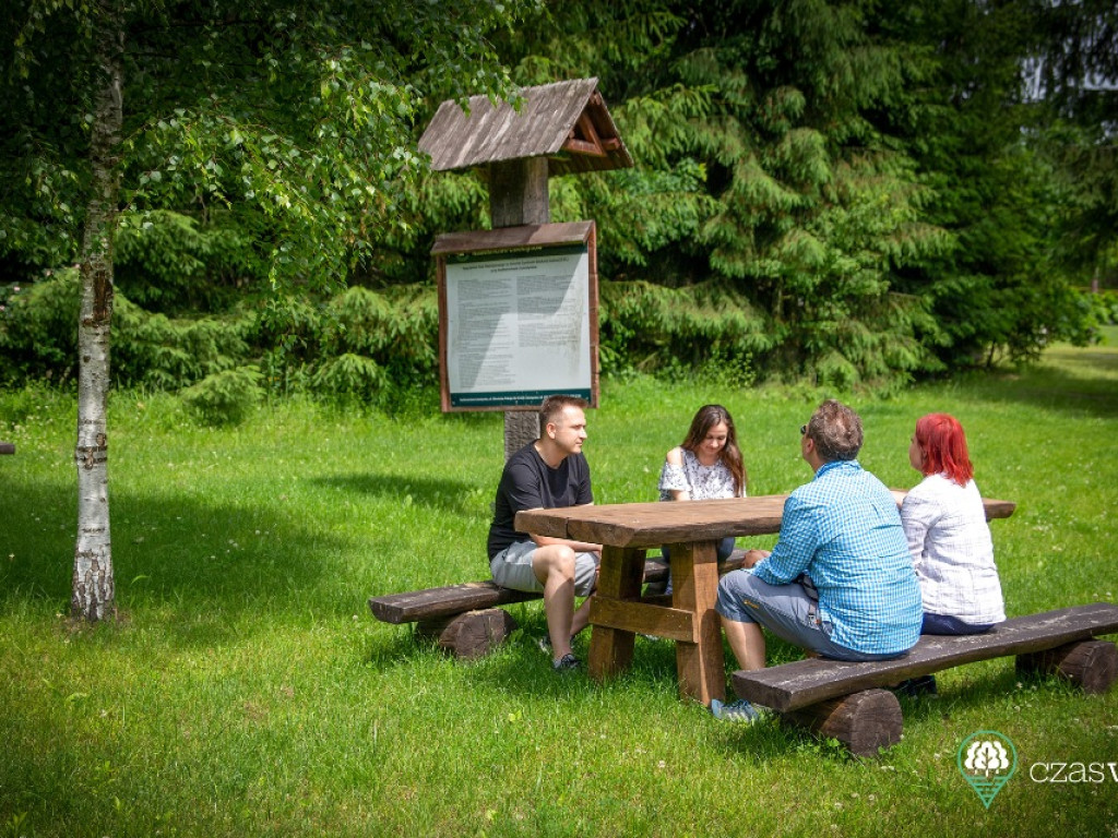 Wyrwij się z miasta do lasu (zdjęcia)