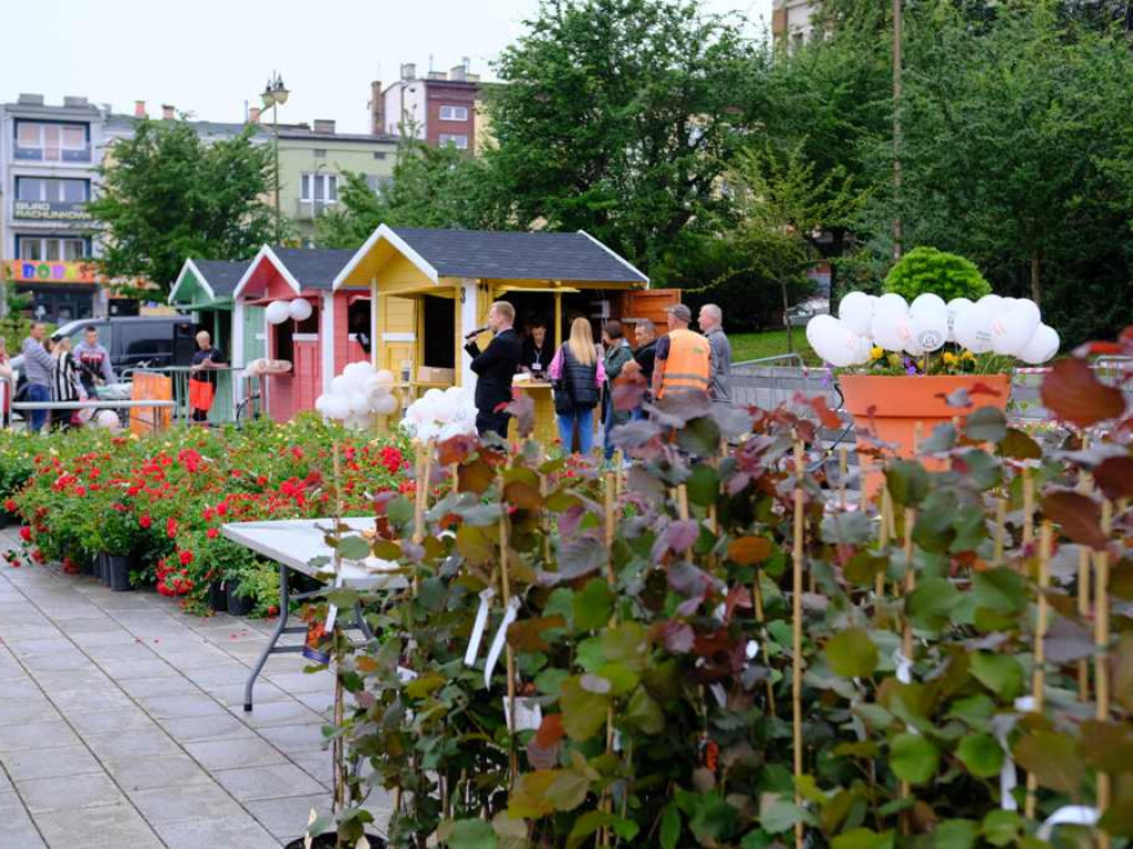 Zielony Ostrowiec - piknik ekologiczny na Rynku