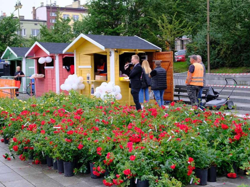 Zielony Ostrowiec - piknik ekologiczny na Rynku