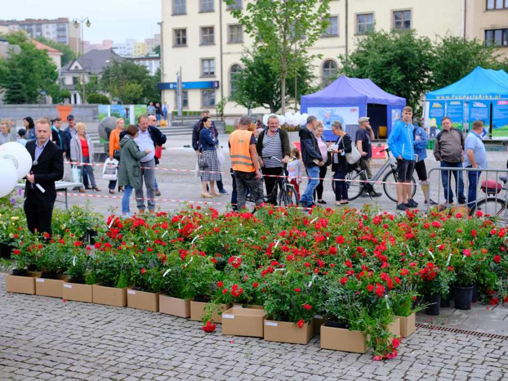 Zielony Ostrowiec - piknik ekologiczny na Rynku