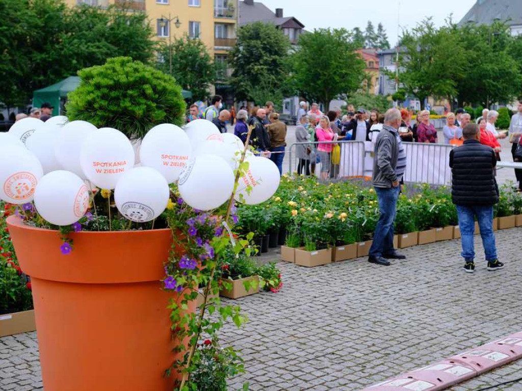 Zielony Ostrowiec - piknik ekologiczny na Rynku