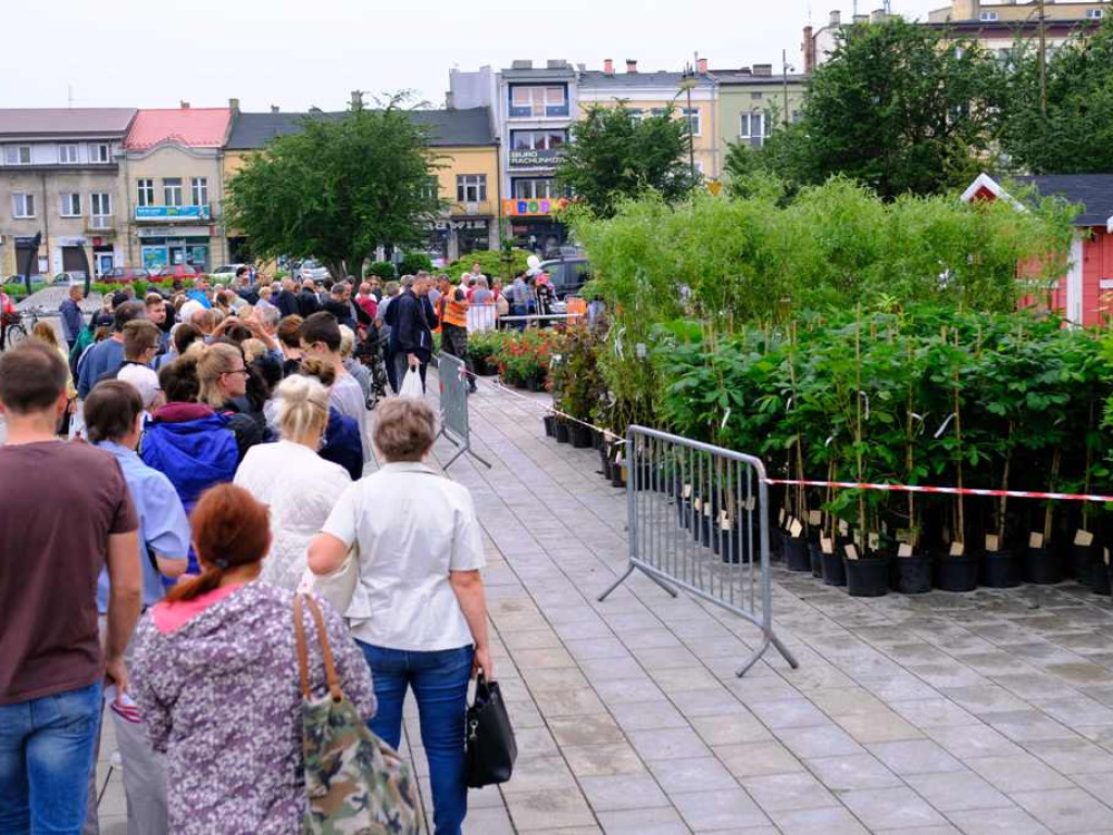 Zielony Ostrowiec - piknik ekologiczny na Rynku