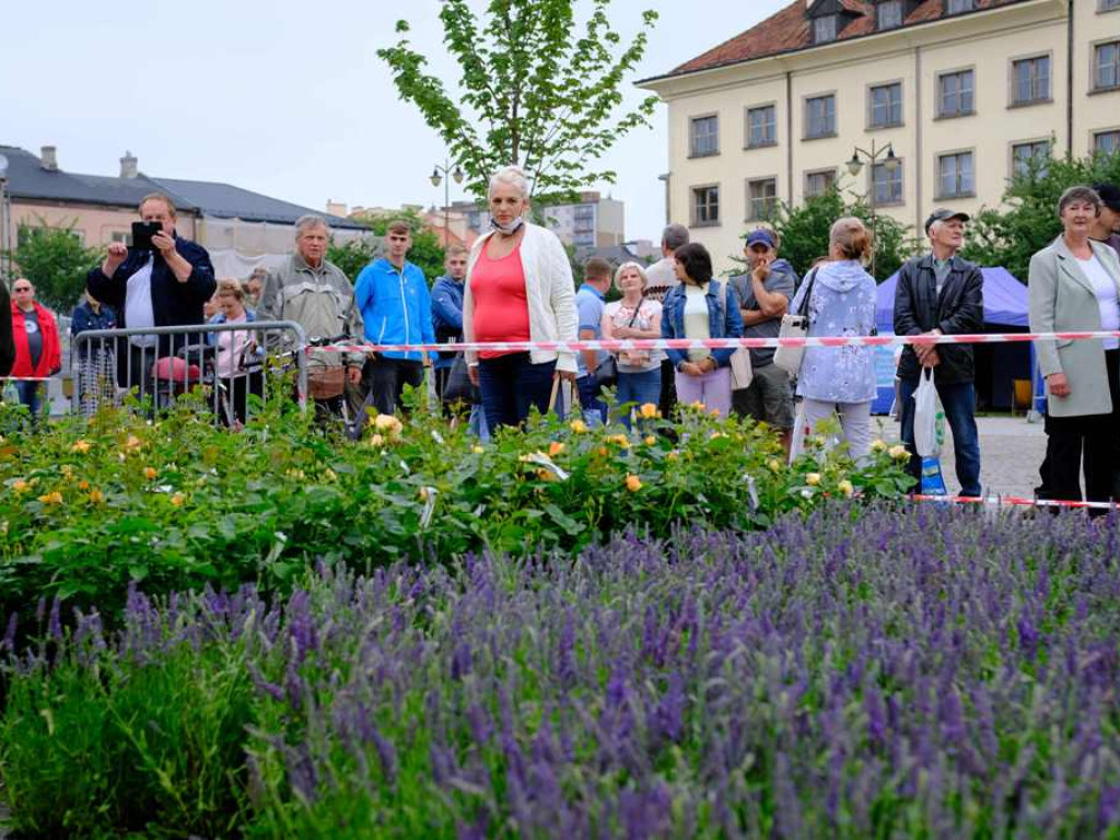 Zielony Ostrowiec - piknik ekologiczny na Rynku