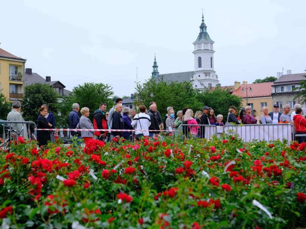 Zielony Ostrowiec - piknik ekologiczny na Rynku