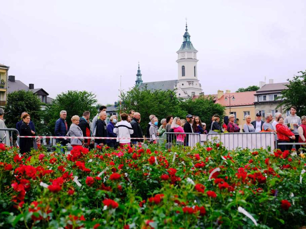 Zielony Ostrowiec - piknik ekologiczny na Rynku