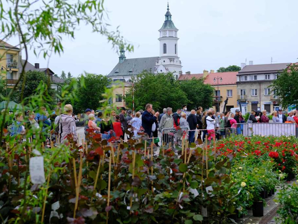 Zielony Ostrowiec - piknik ekologiczny na Rynku