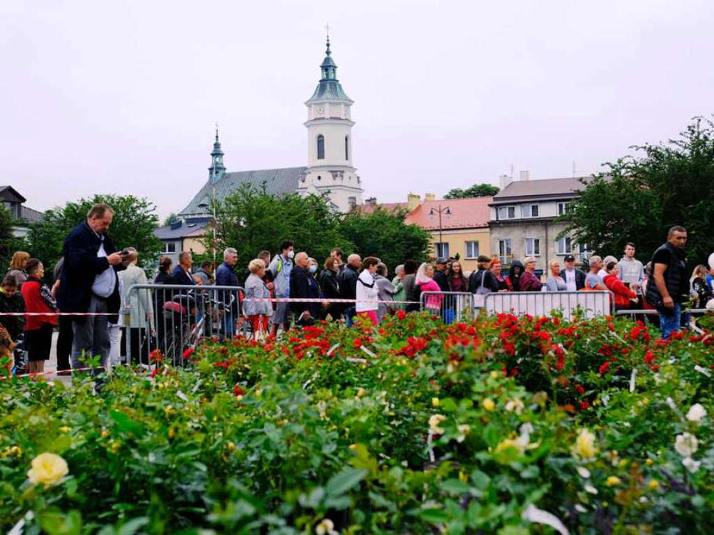 Zielony Ostrowiec - piknik ekologiczny na Rynku