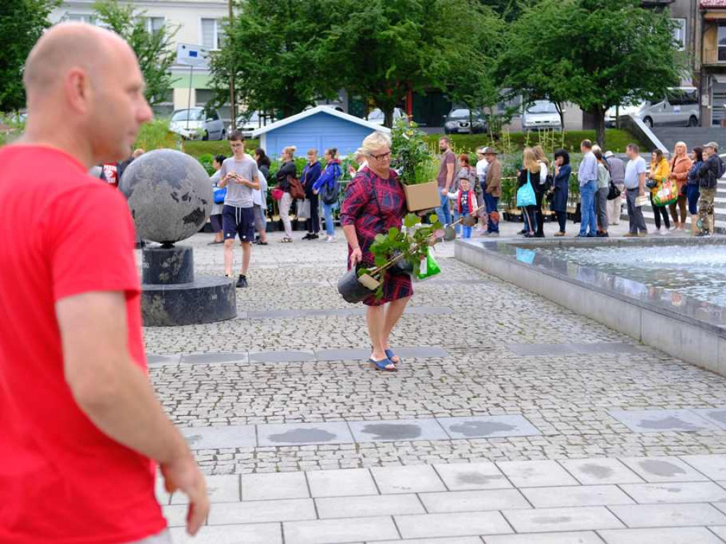 Zielony Ostrowiec - piknik ekologiczny na Rynku