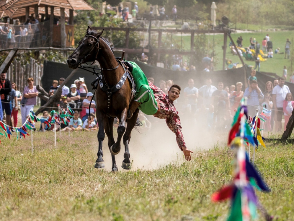 Święto Smoczych Jeźdźców w Magicznych Ogrodach (zdjęcia)
