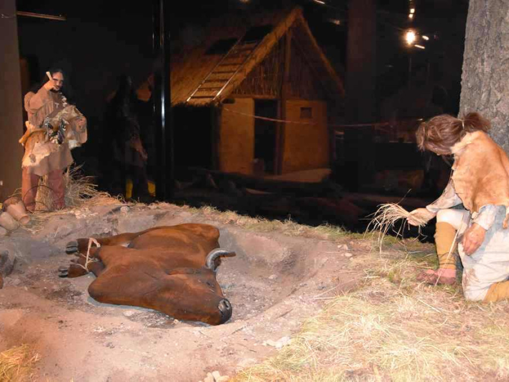 Krzemionki. Nowa wystawa stała 