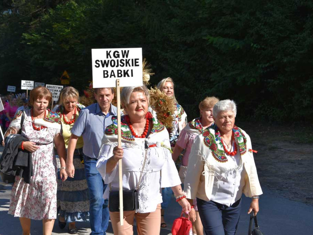 Święto plonów w Bałtowie