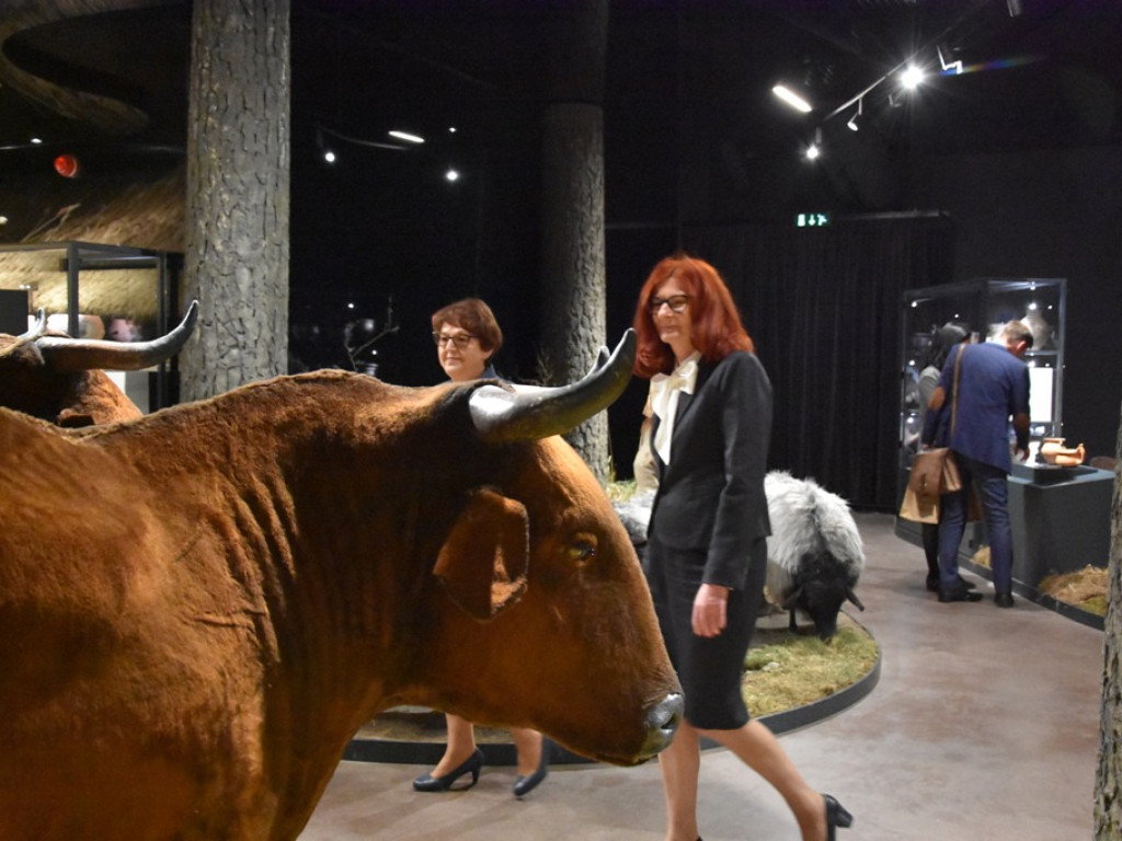 Święto w ostrowieckim Muzeum Historyczno -Archeologicznym (zdjęcia)