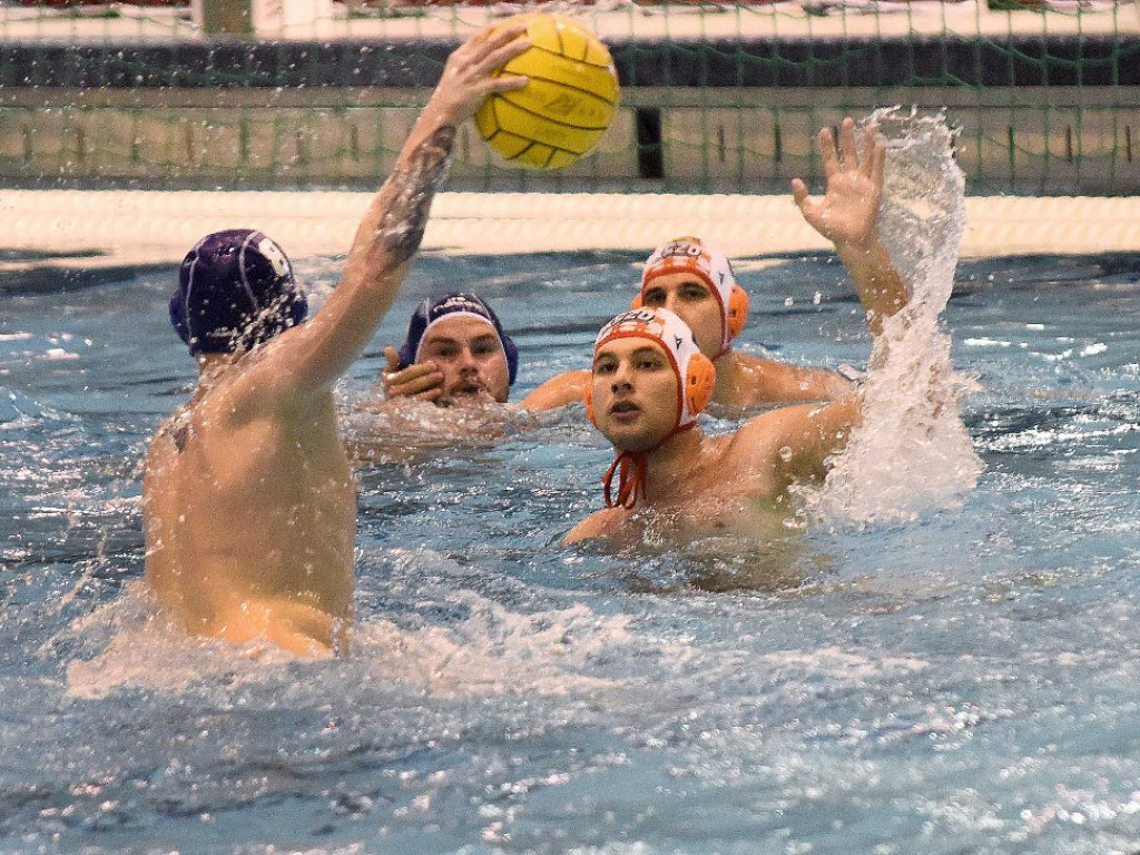 Piłka wodna. Ekstraklasa. *KSZO Ostrowiec Świętokrzyski ? Box Logistics Waterpolo Poznań 8:17