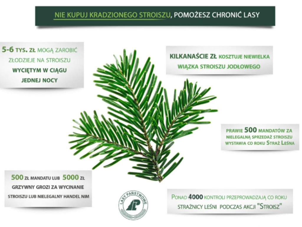 Przed Dniem Wszystkich Świętych trwa akcja ?Stroisz?