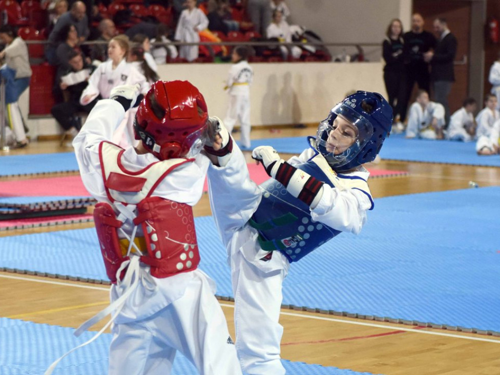 Worek medali ostrowieckich taekwondoków (zdjęcia)