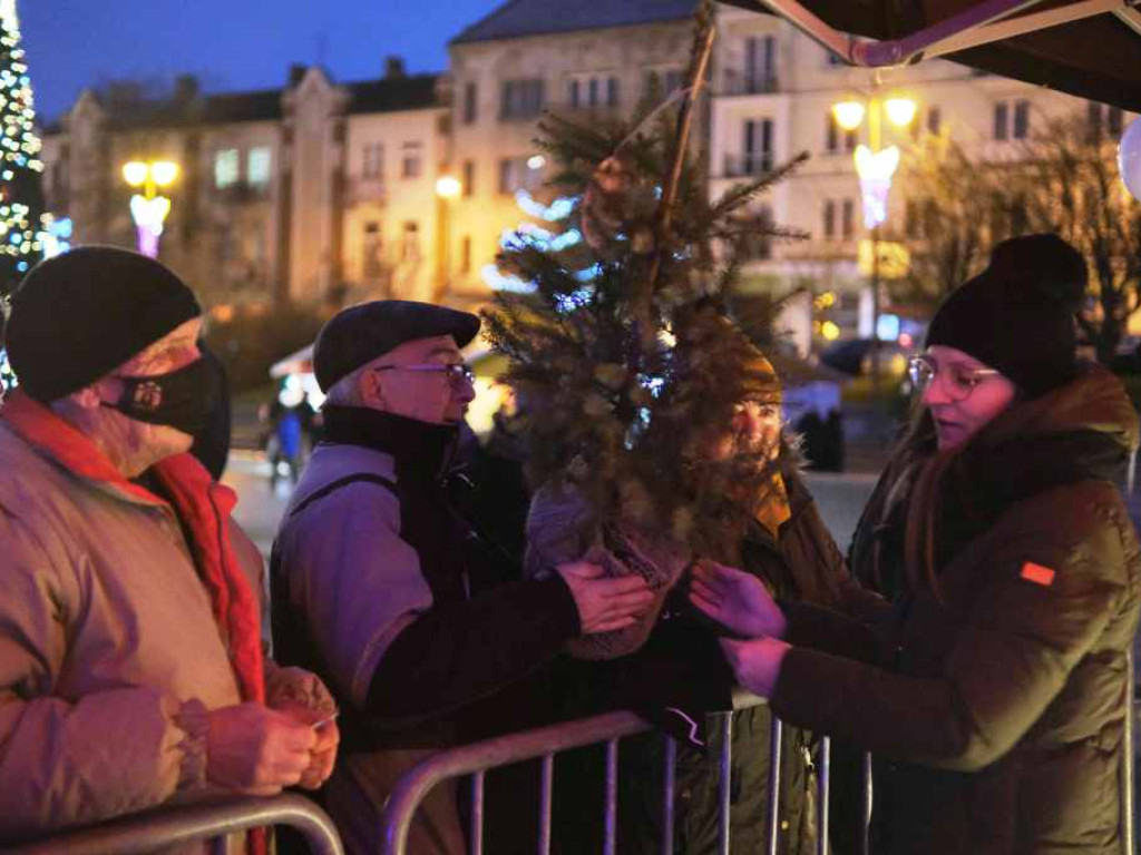 Na Rynku tłumnie. Świąteczne choinki za elektrośmieci
