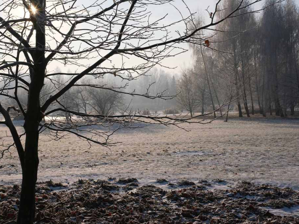 Zimowo w Parku Miejskim im. Marszałka Józefa Piłsudskiego w Ostrowcu Świętokrzyskim