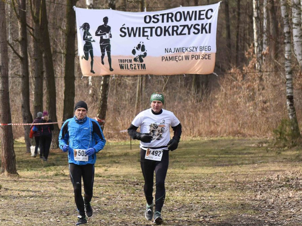 Pamięci Żołnierzy Niezłomnych. Bieg Tropem Wilczym w Ostrowcu Świętokrzyskim