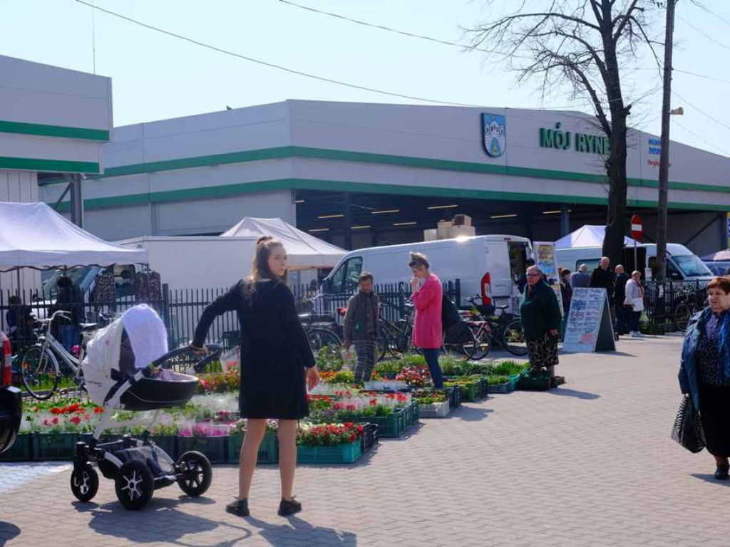 Na targowisku tłumy. Sadzonki schodzą na pniu (zdjęcia)