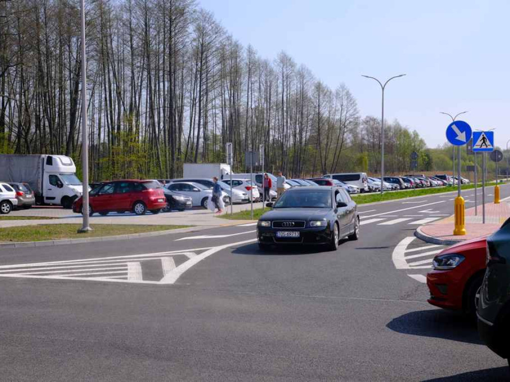Na targowisku tłumy. Sadzonki schodzą na pniu (zdjęcia)