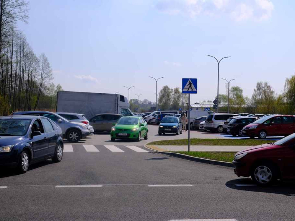 Na targowisku tłumy. Sadzonki schodzą na pniu (zdjęcia)