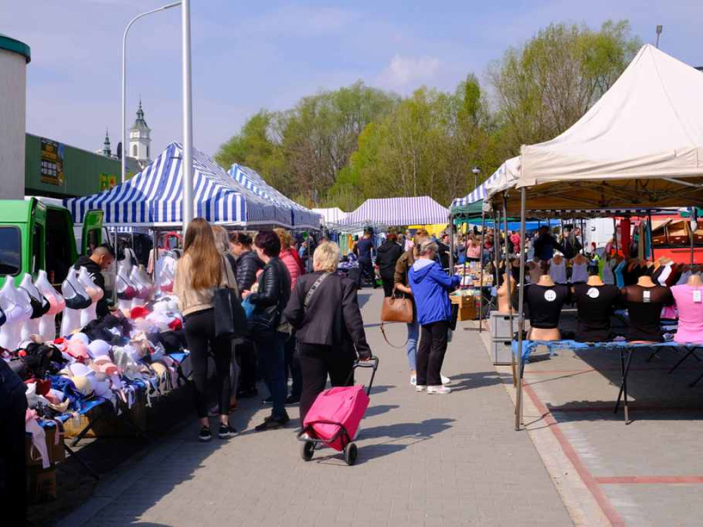 Na targowisku tłumy. Sadzonki schodzą na pniu (zdjęcia)