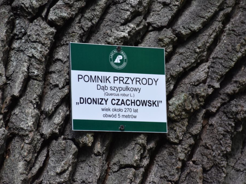 Cześć i Chwała Bohaterom Bitwy pod Jeziórkiem (zdjęcia)