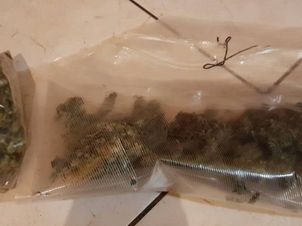 Trzy i pół kilograma narkotyków u mieszkańca powiatu ostrowieckiego (zdjęcia)