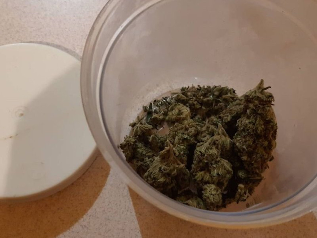Trzy i pół kilograma narkotyków u mieszkańca powiatu ostrowieckiego (zdjęcia)