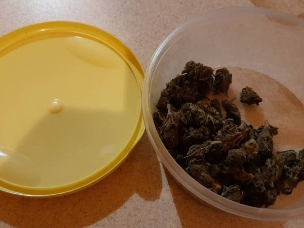 Trzy i pół kilograma narkotyków u mieszkańca powiatu ostrowieckiego (zdjęcia)