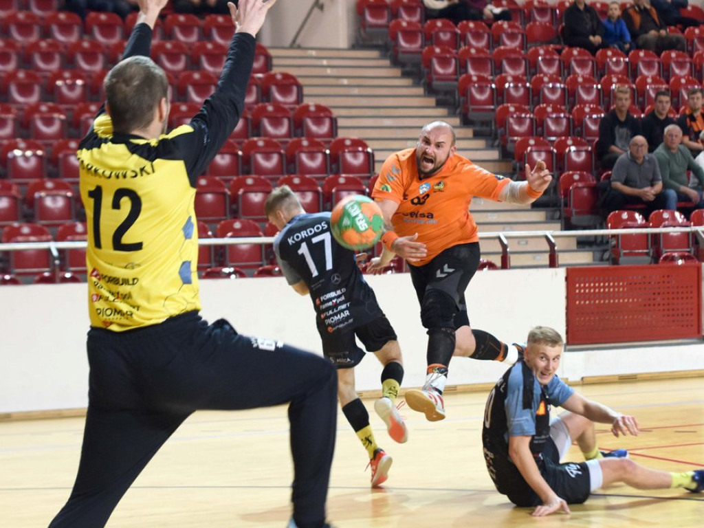 I liga piłki ręcznej mężczyzn. Grupa D. *KSZO Ostrowiec Świętokrzyski - KSSPR Końskie 24:26