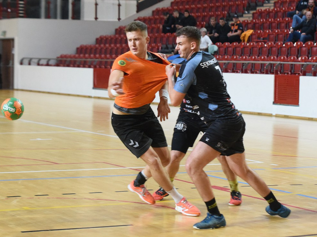 I liga piłki ręcznej mężczyzn. Grupa D. *KSZO Ostrowiec Świętokrzyski - KSSPR Końskie 24:26