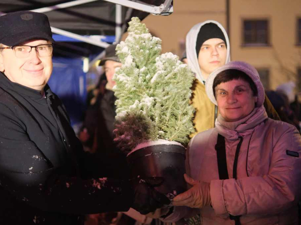 Choinki rozdane. W niedzielę Spotkanie Wigilijne (zdjęcia)